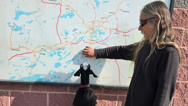 ‘We go everywhere together,’ says man who took baby goat on a cross-Canada road trip