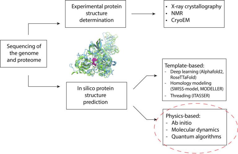 Researchers apply quantum computing methods to protein structure prediction