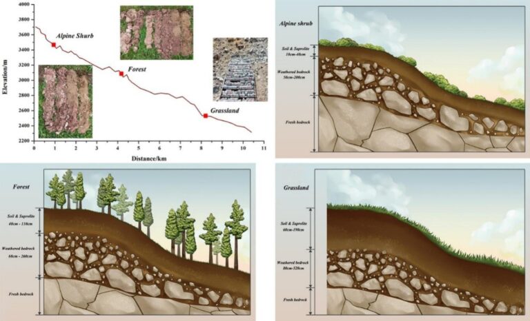 How water storage in weathered bedrock impacts evapotranspiration and stream runoff