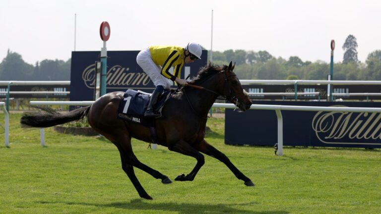 Freddy Tylicki: Ambiente Friendly to go like a superstar in Epsom Derby | Racing News