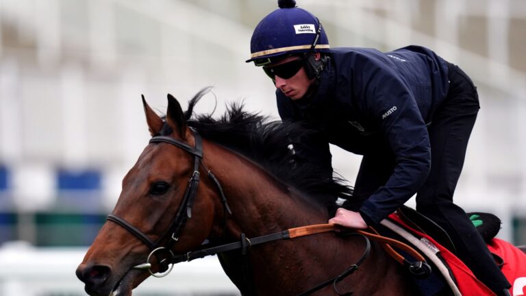 Weekend Winners: Macduff backed to bring home Derby honours at Epsom | Racing News