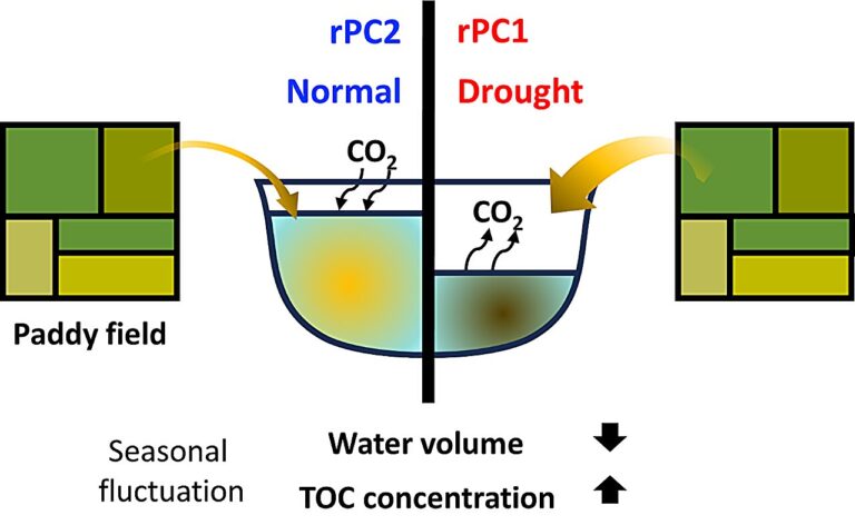 Can reservoirs be a carbon source?