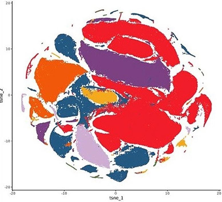 tSNE Visualization of Single-Nucleus RNA Sequencing