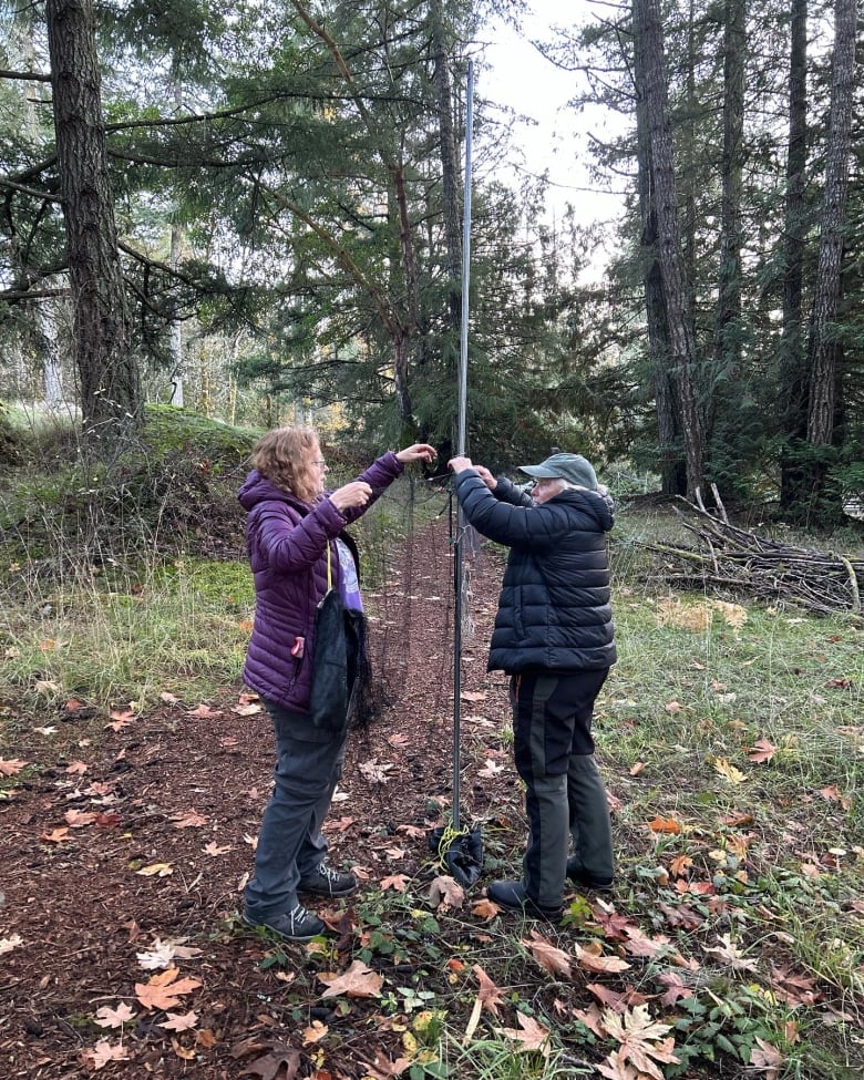 Two women set up a net in a forest.