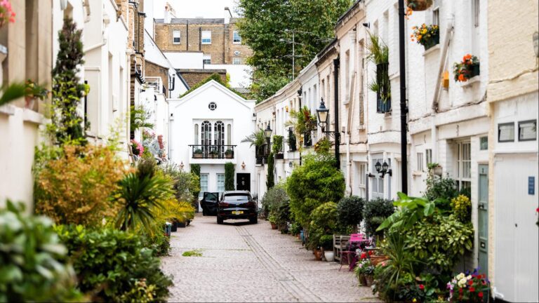 Hidden treasures: a short history of the mews