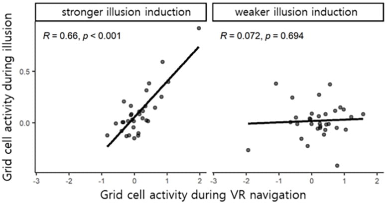 Similarity Between Illusion Induced and VR Navigation Induced Grid Cell Activity