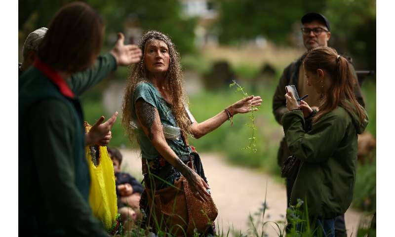 People smell and taste plants such as garlic mustard, wild strawberries and wild rocket