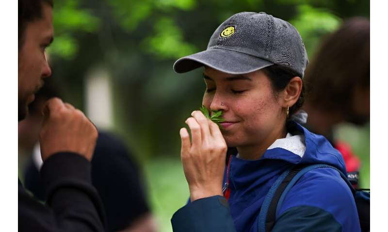 Many attending said they did not realise so many of the plants were edible