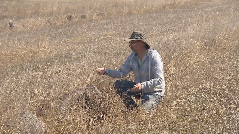 Dean Kreutzer of Over the Hill Orchards and Winery near Lumsden, Sask. inspects growing wine grape crops.