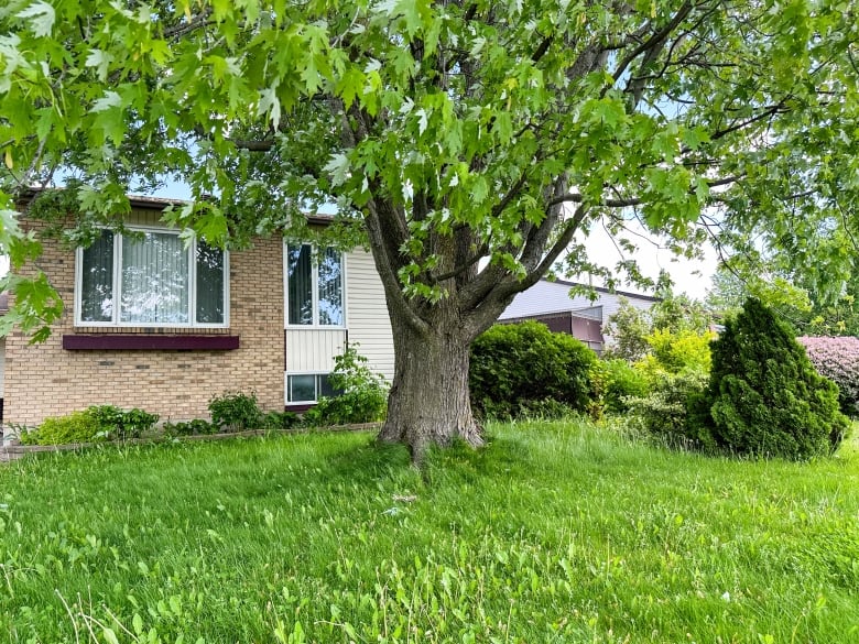 Jorg Santowski has lived in Ontario since 1967 and in this house in Ottawa's Orleans suburb for the past 12 years.