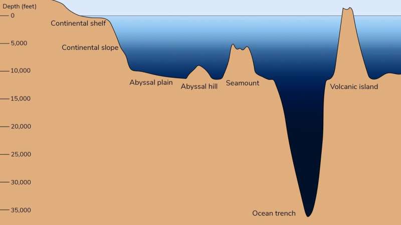 Shape and depth of ocean floor profoundly influence how carbon is stored there