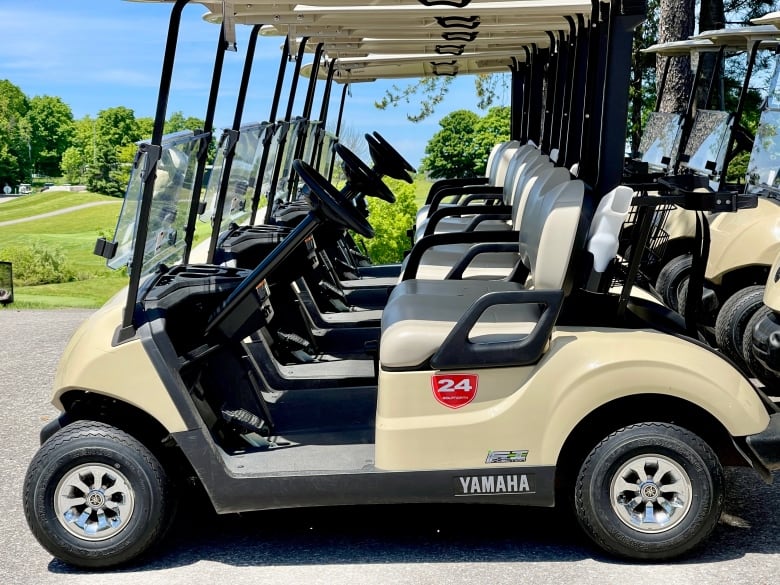 A row of golf carts is parked by a golf course on a sunny day.