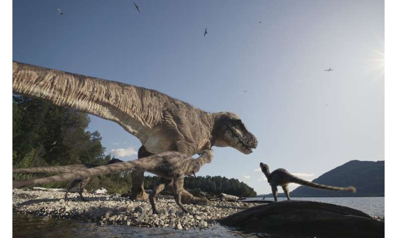 Three boys found a T. rex fossil in North Dakota. Now a Denver museum works to fully reveal it