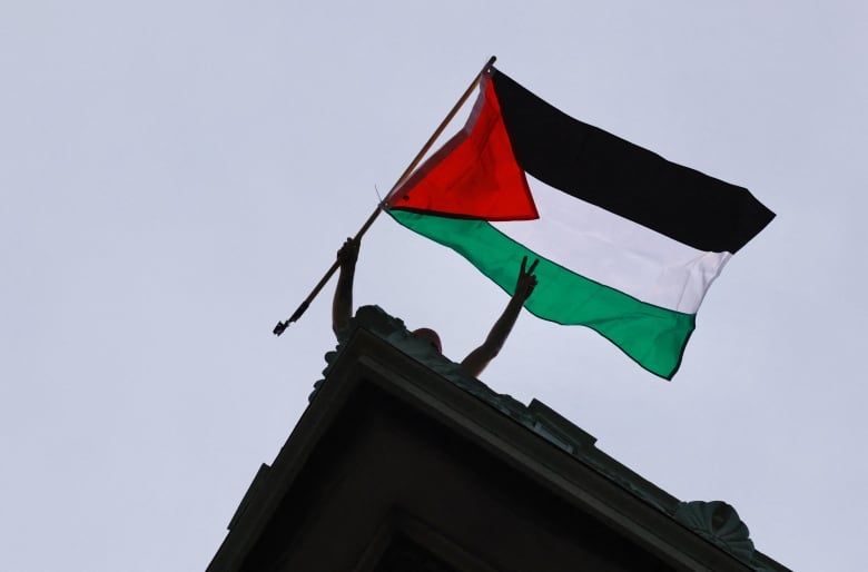 A person atop a building  waves a Palestinian flag