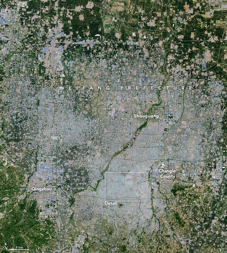 Weifang Prefecture 2024 Annotated