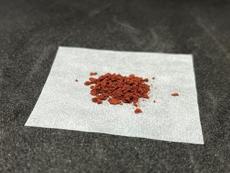 Persimmon Tannin Powder