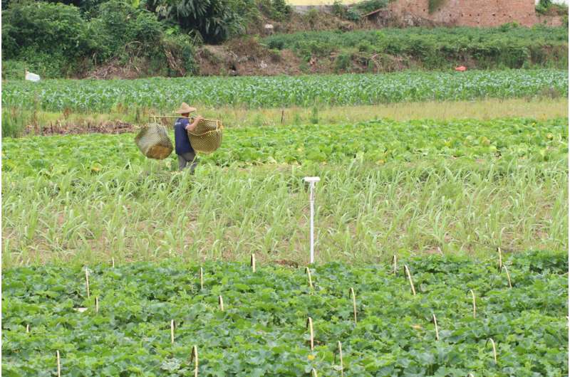 Diversity in farm landscapes helps wildlife, global study finds