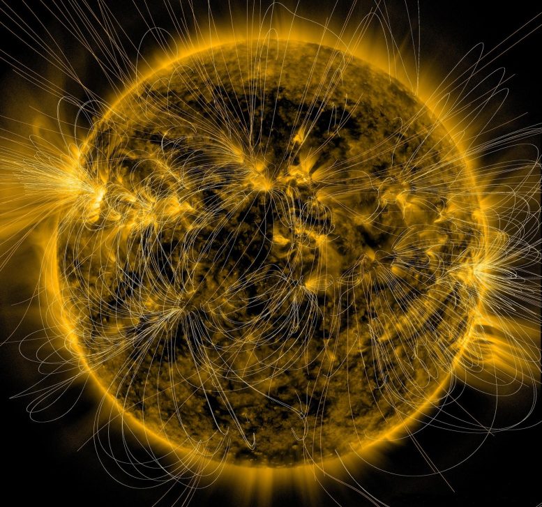 Sun’s Magnetic Field Illustration