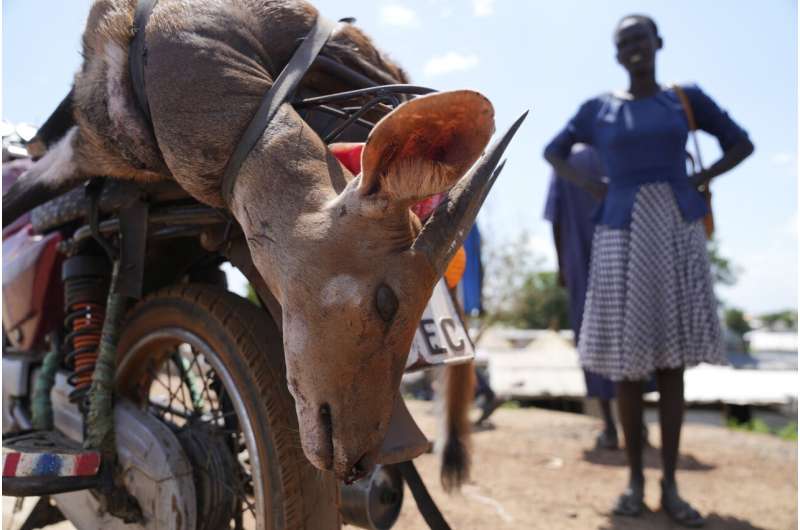 South Sudan says its 6M antelope make up world’s largest land mammal migration, but poaching on rise