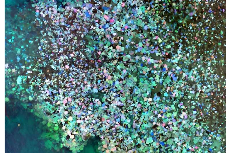 New drone imagery reveals 97% of coral dead at a Lizard Island reef after last summer's mass bleaching