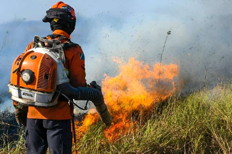 This handout photo released by the Mato Grosso do Sul Government shows a firefighter battling to control a wildfire in the Pantanal region