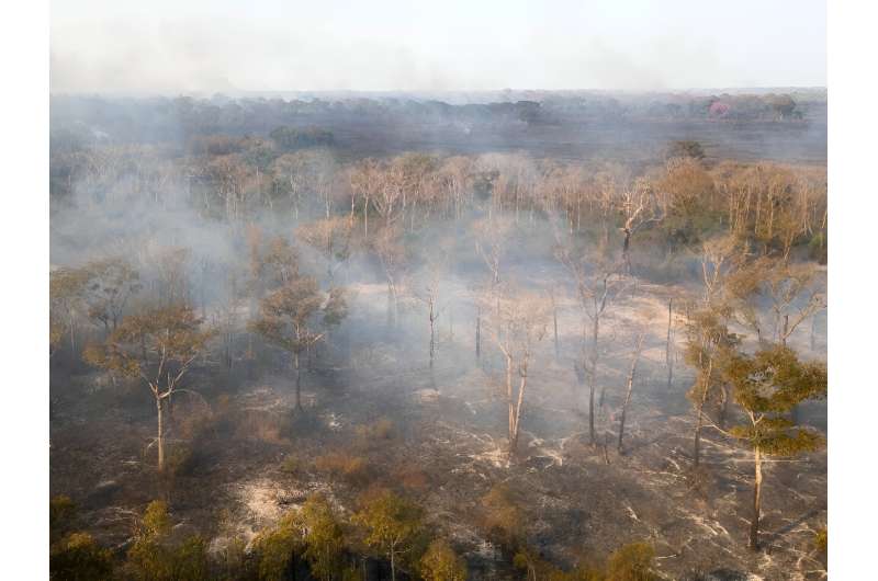 Aerial view of a fire outbreak in a rural area of Corumba, Mato Grosso do Sul State, Brazil, taken on June 25, 2024