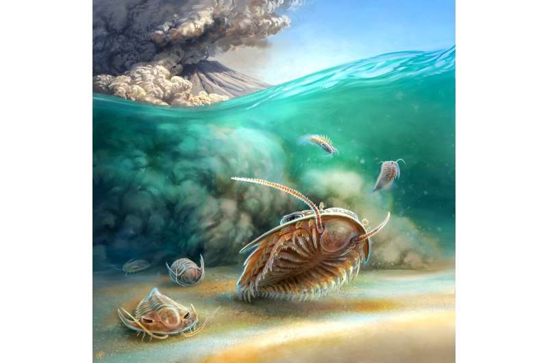 Prehistoric Pompeii discovered: Most pristine trilobite fossils ever found shake up scientific understanding of the long extinct group