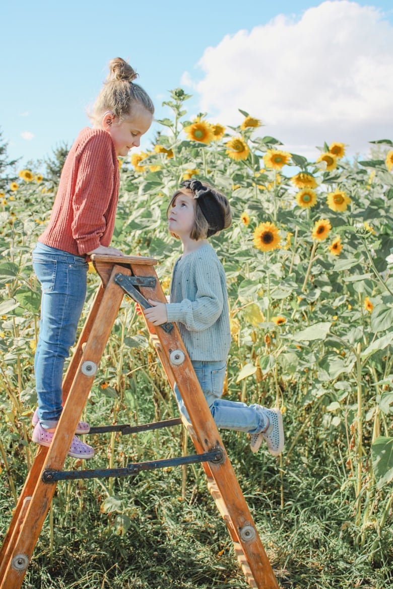 Two sisters climbing up a wooden ladder are looking at each other in front of a field of sunflowers. Freya, the child on the left, has her blonde hair in a bun and is wearing a pink sweater and blue jeans. Prudence, on the right, has light brown hair with a black headband and is wearing a grey sweater and jeans. There is a puffy cloud on the right hand side of the sky.