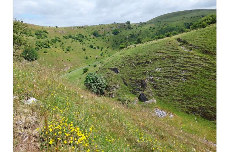 No evidence that England's new 'biodiversity boost' planning policy will help birds or butterflies