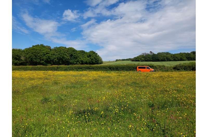 No evidence that England's new 'biodiversity boost' planning policy will help birds or butterflies