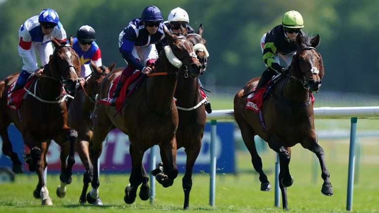 Solent Gateway ridden by Hollie Doyle 