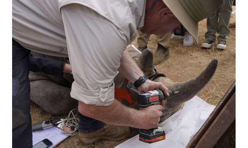 South African researchers test use of nuclear technology to curb rhino poaching