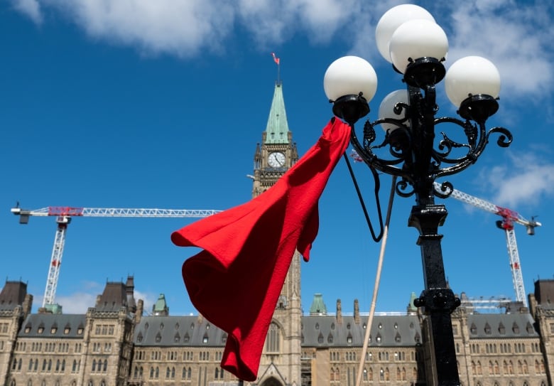 A red dress hangs from a lamppost in front of a legislature.