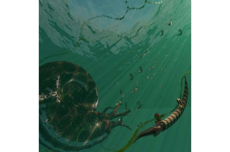 Ammonites went out with a diverse bang—and not a long, slow fizzle—in the Late Cretaceous