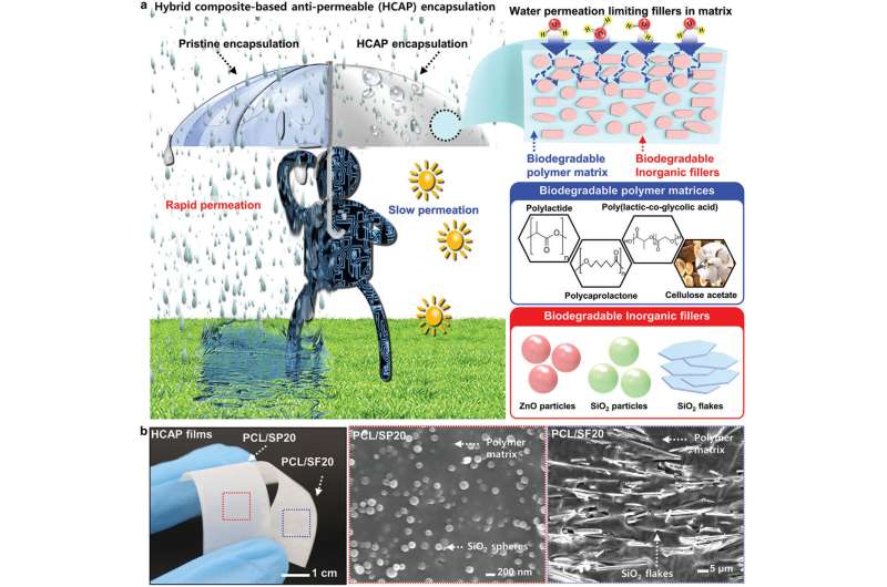 Biodegradable electronics may advance with ability to control dissolve rate