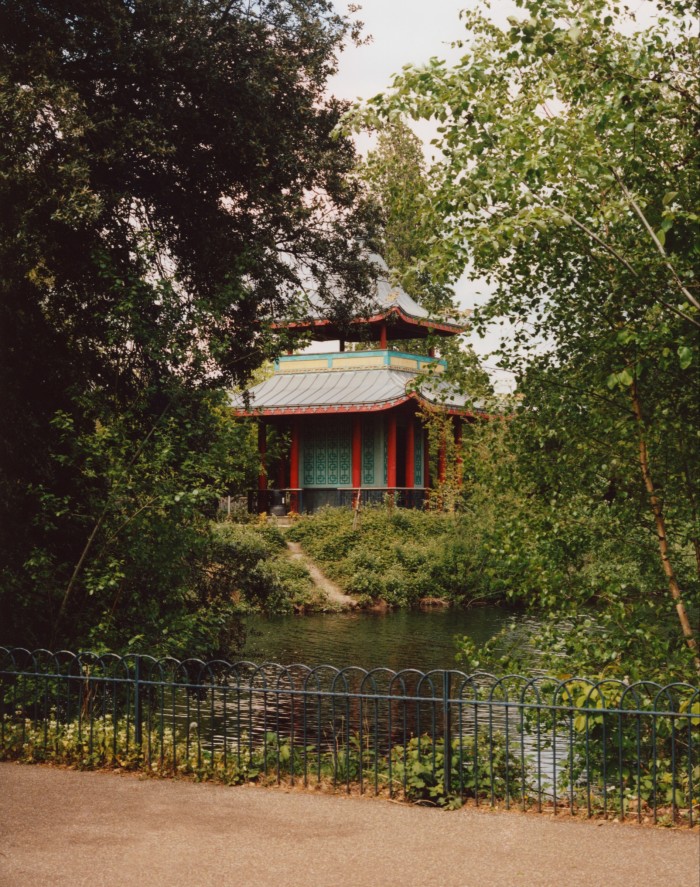 Ducks on the West Lake in Victoria Park with its restored Chinese pagoda behind