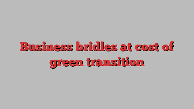 Business bridles at cost of green transition