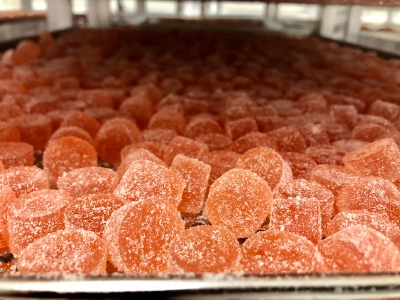 A whole bunch of orange gummies on a tray.