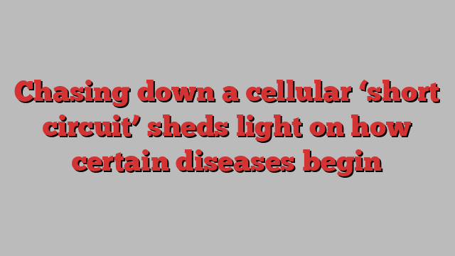 Chasing down a cellular ‘short circuit’ sheds light on how certain diseases begin