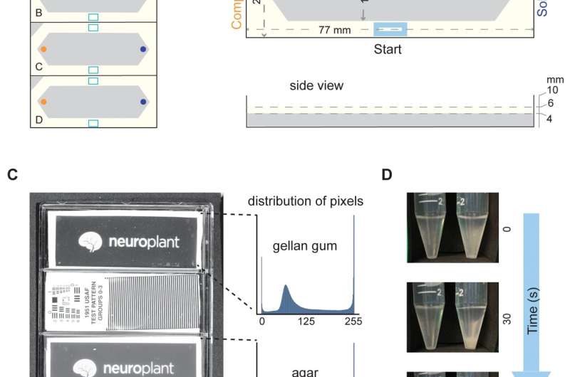 The worm has turned: DIY lab platform evaluates new molecules in minutes