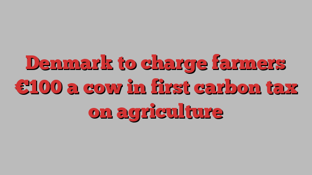 Denmark to charge farmers €100 a cow in first carbon tax on agriculture