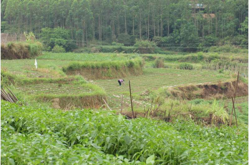 Diversity in farm landscapes helps wildlife, global study finds