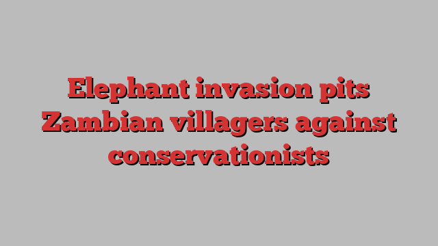 Elephant invasion pits Zambian villagers against conservationists