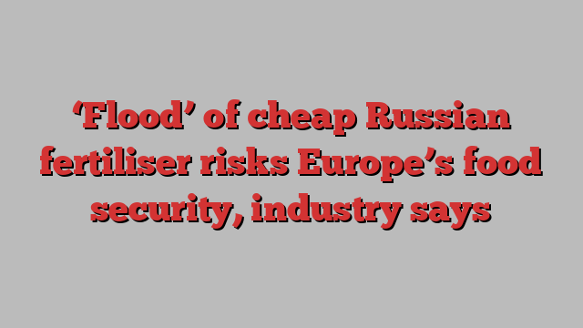 ‘Flood’ of cheap Russian fertiliser risks Europe’s food security, industry says