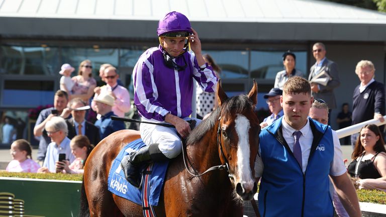 Diego Velazquez is the main Ballydoyle hope