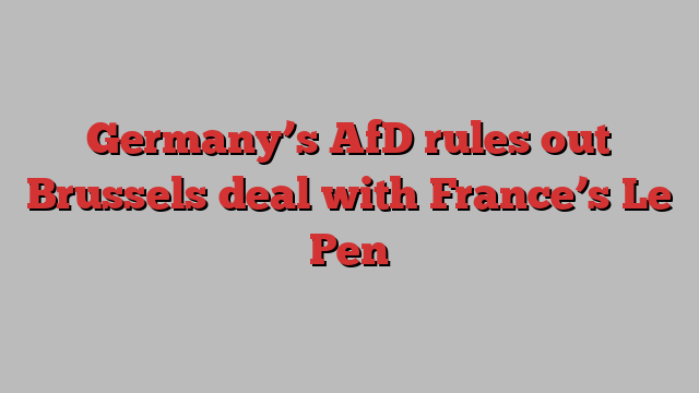 Germany’s AfD rules out Brussels deal with France’s Le Pen