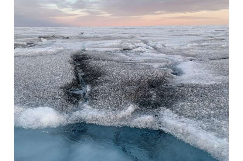 Giant viruses found on Greenland ice sheet