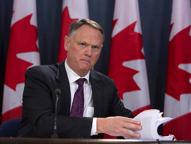 David McGuinty, chair of the National Security and Intelligence Committee of Parlmentarians, holds a news conference to release the committee's annual report in Ottawa on Thursday, March 12, 2020. The committee of parliamentarians that oversees national security says it has begun a study of foreign interference, following a request from Prime Minister Justin Trudeau.