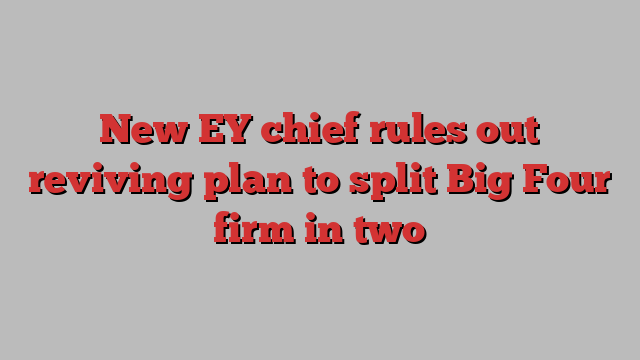 New EY chief rules out reviving plan to split Big Four firm in two