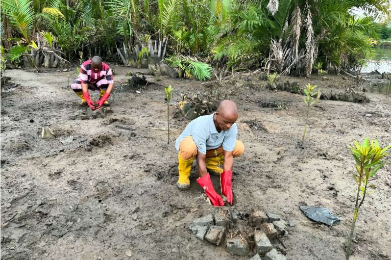 a local community leader is pushing ahead with a project to restore the spoiled forests